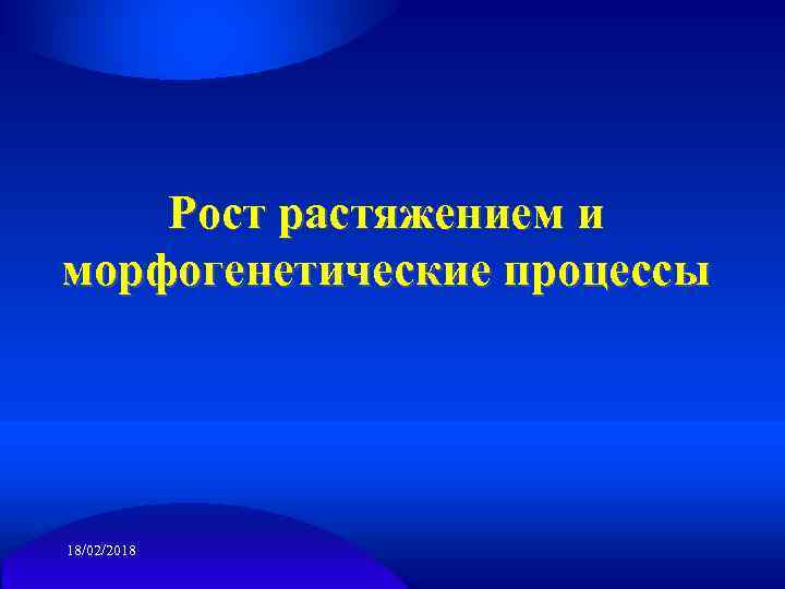 Рост растяжением и морфогенетические процессы 18/02/2018 