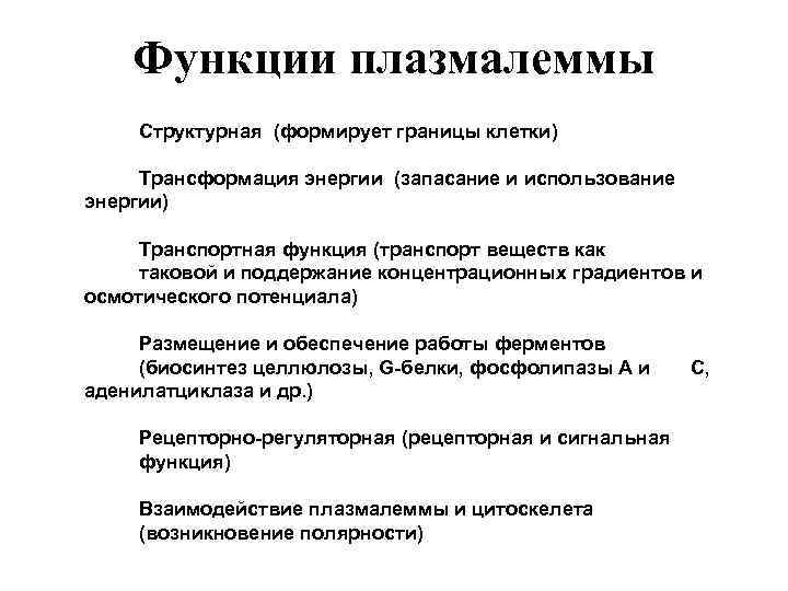 Функции плазмалеммы Структурная (формирует границы клетки) Трансформация энергии (запасание и использование энергии) Транспортная функция