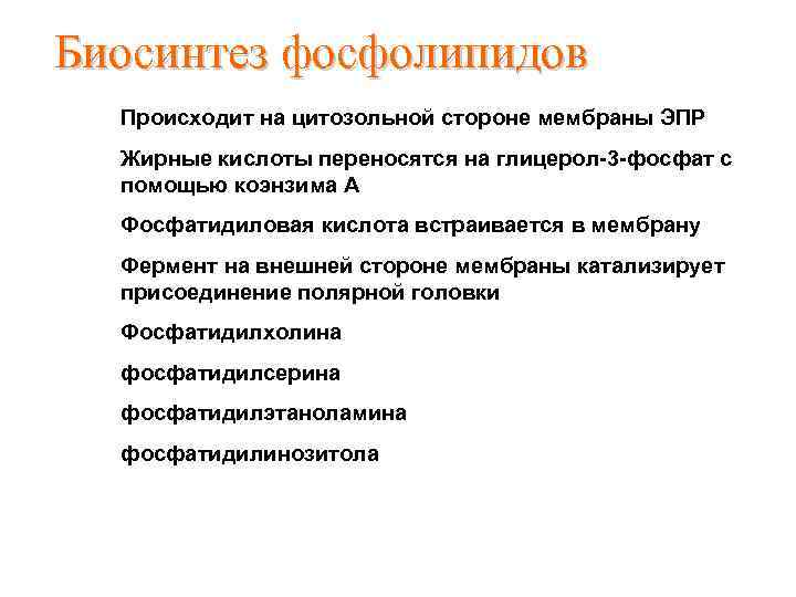 Биосинтез фосфолипидов Происходит на цитозольной стороне мембраны ЭПР Жирные кислоты переносятся на глицерол-3 -фосфат