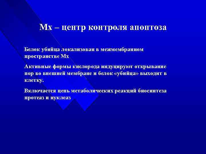 Мх – центр контроля апоптоза Белок убийца локализован в межмембранном пространстве Мх Активные формы