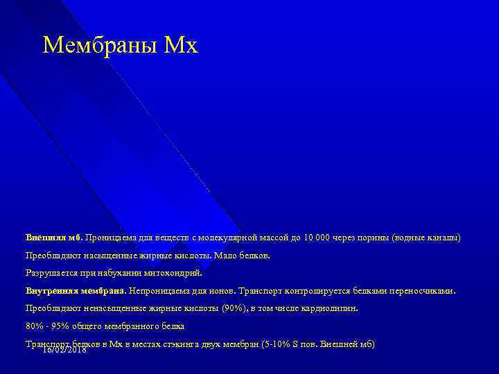 Мембраны Мх Внешняя мб. Проницаема для веществ с молекулярной массой до 10 000 через