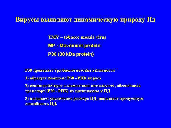 Вирусы выявляют динамическую природу Пд TMV – tobacco mosaic virus MP - Movement protein