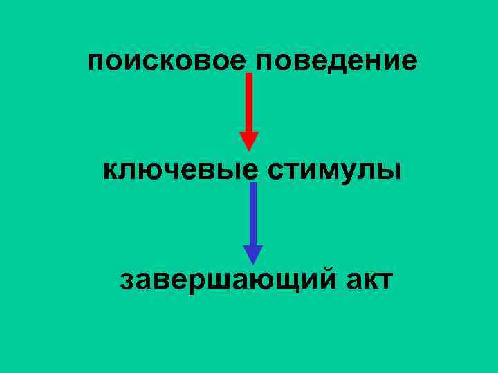 поисковое поведение ключевые стимулы завершающий акт 