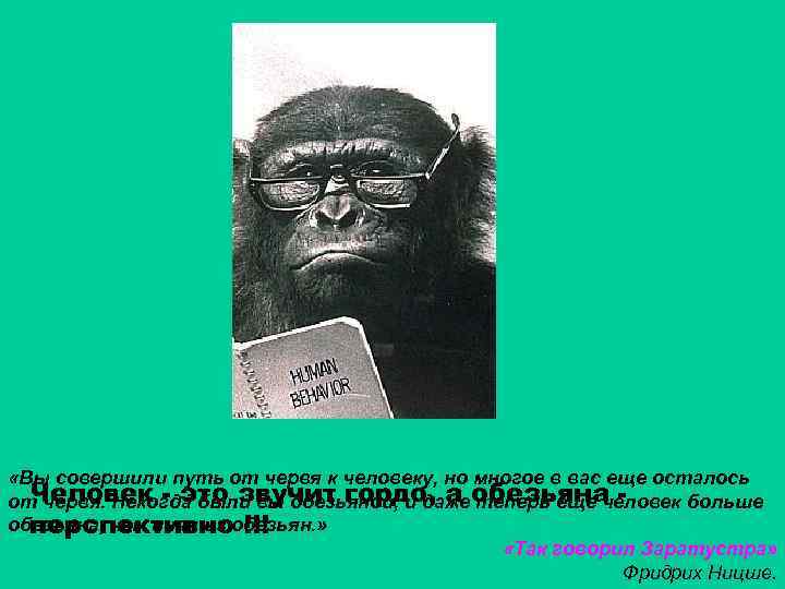  «Вы совершили путь от червя к человеку, но многое в вас еще осталось