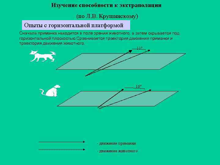 Изучение способности к экстраполяции (по Л. В. Крушинскому) Опыты с горизонтальной платформой Сначала приманка