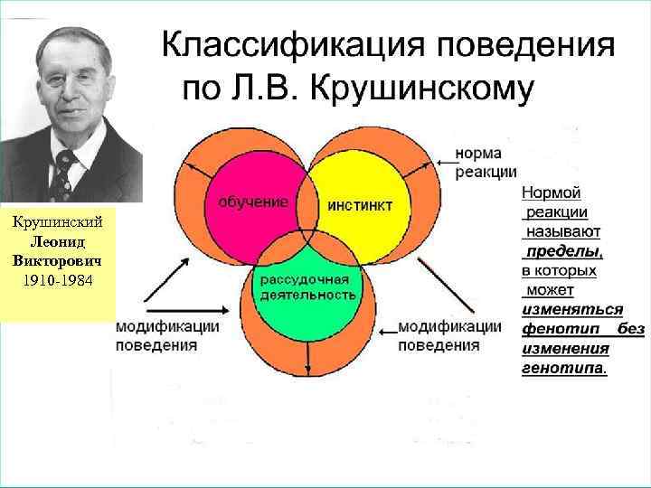 Крушинский Леонид Викторович 1910 -1984 