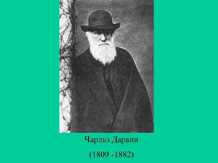 Чарльз Дарвин (1809 -1882) 