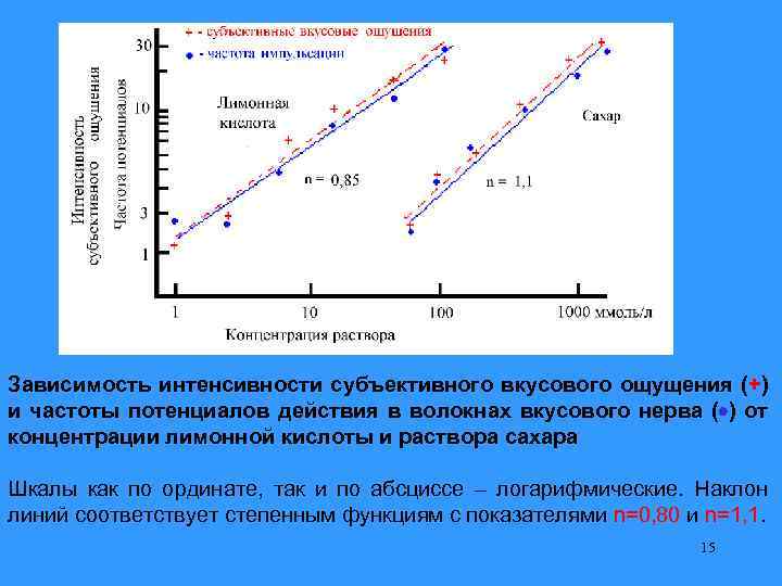 Зависимость интенсивности субъективного вкусового ощущения (+) и частоты потенциалов действия в волокнах вкусового нерва