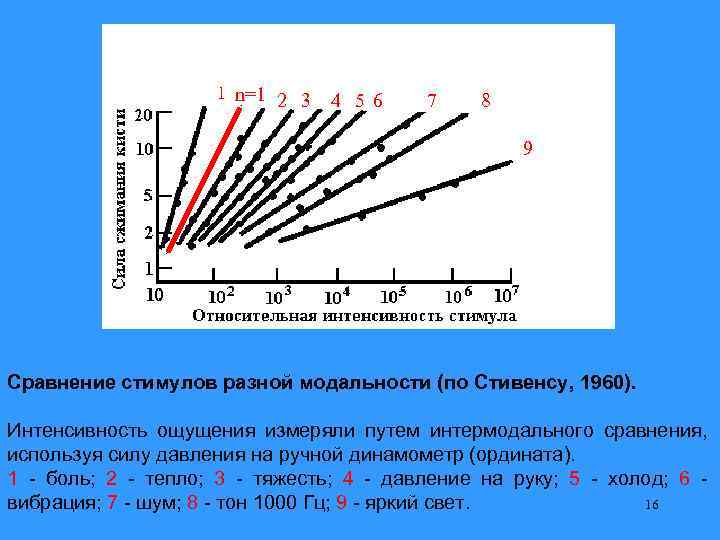 1 n=1 2 3 4 5 6 7 8 9 Сравнение стимулов разной модальности