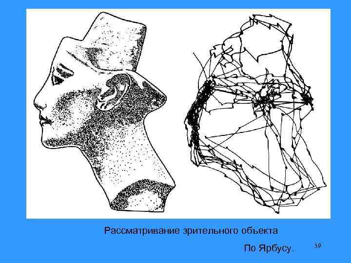 Рассматривание зрительного объекта По Ярбусу. 39 
