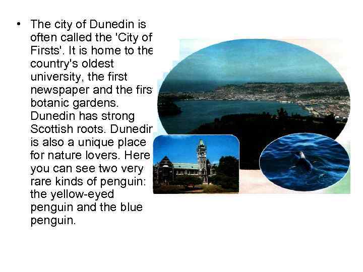  • The city of Dunedin is often called the 'City of Firsts'. It