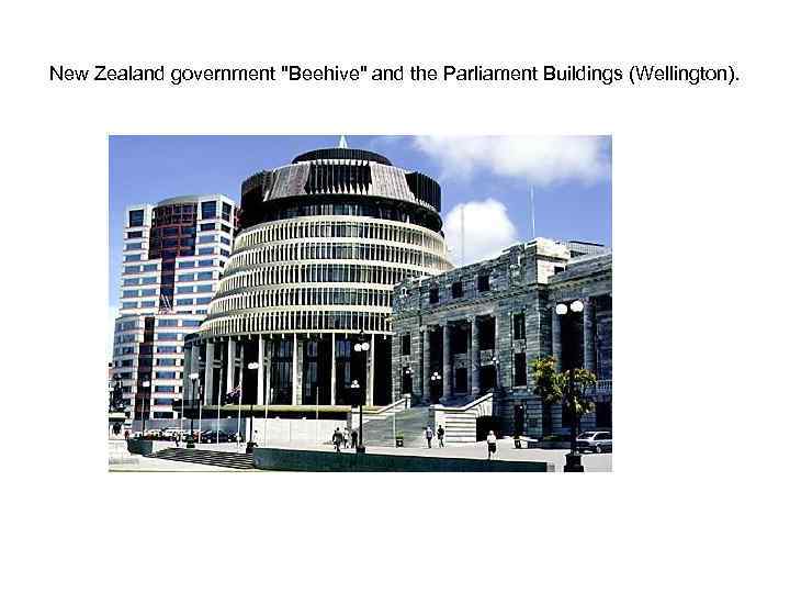 New Zealand government 