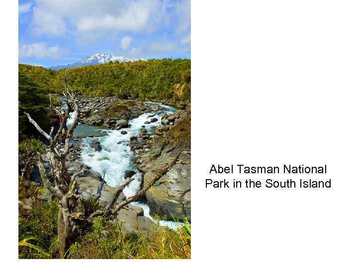 Abel Tasman National Park in the South Island 