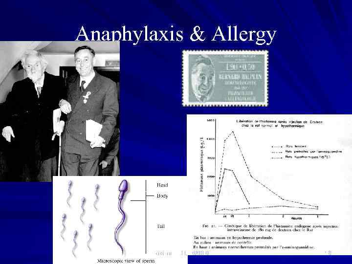 Anaphylaxis & Allergy Symposium BNH, 10/08/04 18 