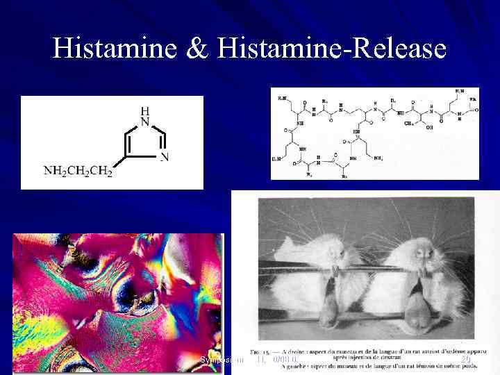 Histamine & Histamine-Release Symposium BNH, 10/08/04 20 