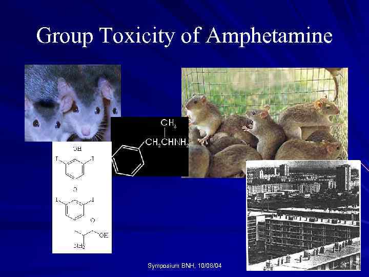Group Toxicity of Amphetamine Symposium BNH, 10/08/04 24 