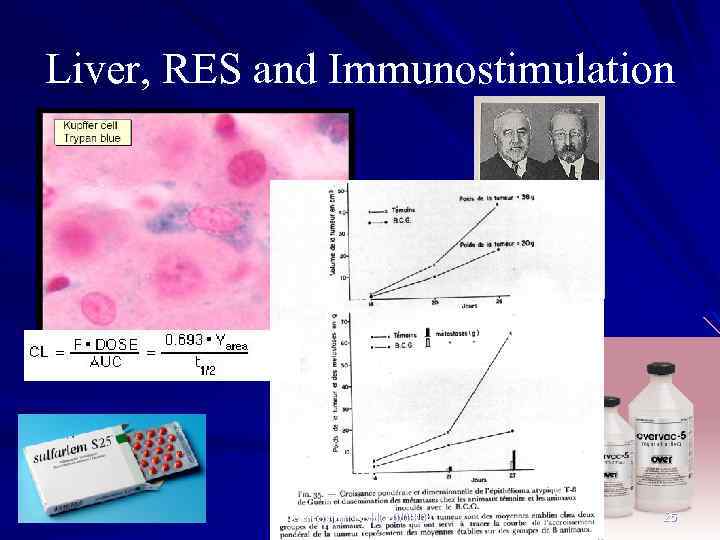 Liver, RES and Immunostimulation Symposium BNH, 10/08/04 25 