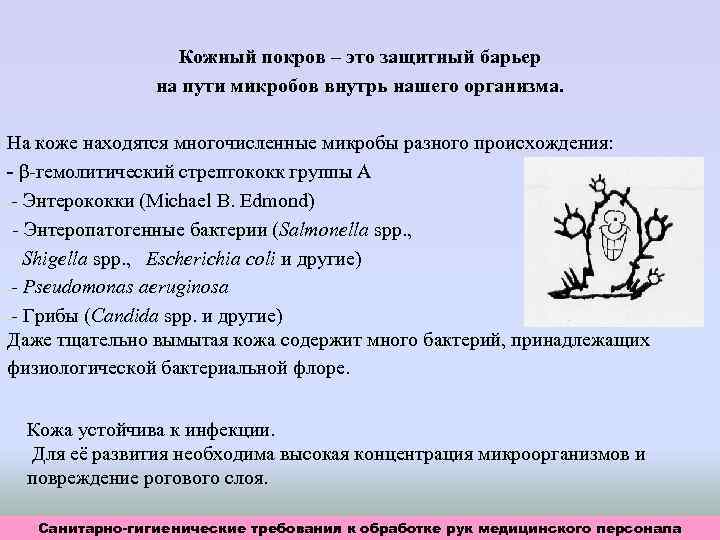 Кожный покров – это защитный барьер на пути микробов внутрь нашего организма. На коже