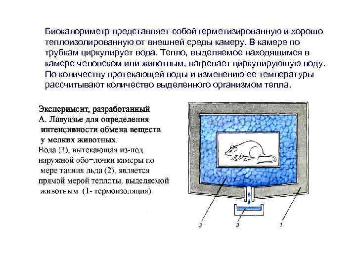 Биокалориметр представляет собой герметизированную и хорошо теплоизолированную от внешней среды камеру. В камере по