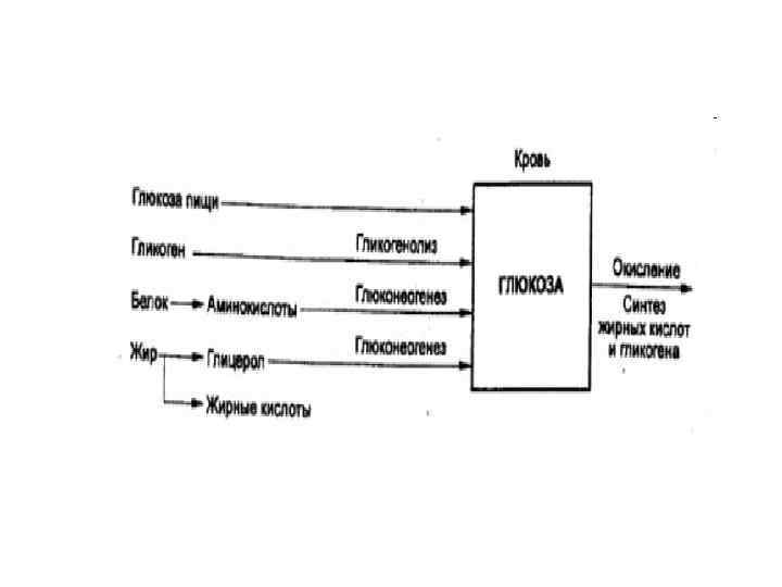 Пути метаболизма питательных веществ 