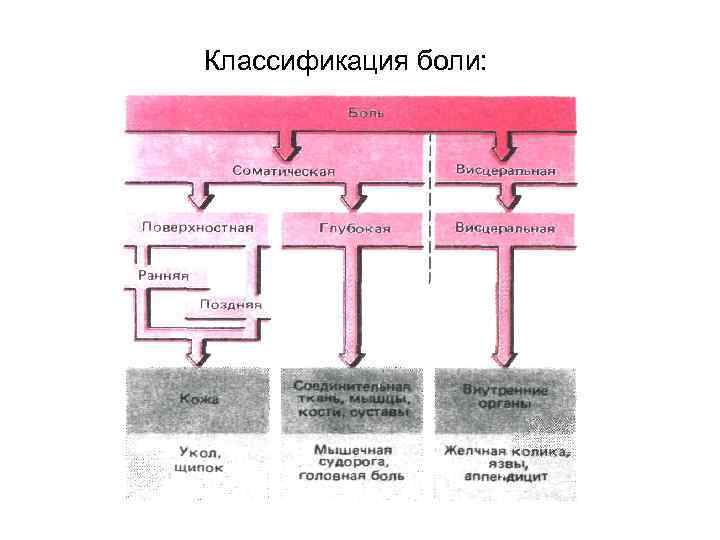 Классификация боли: 