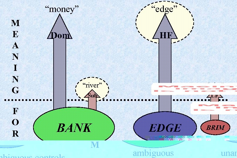“money” M E A N I N G F O R M “edge” Dom