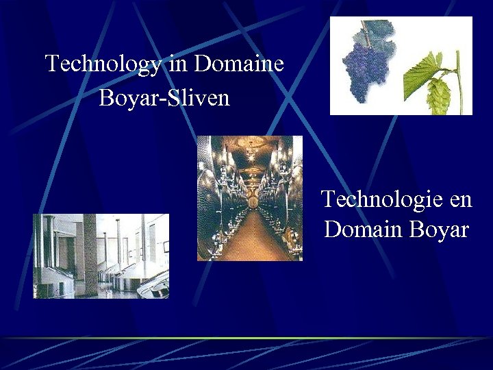 Technology in Domaine Boyar-Sliven Technologie en Domain Boyar 