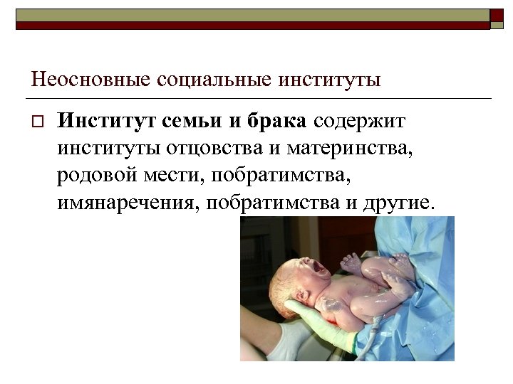Неосновные социальные институты o Институт семьи и брака содержит институты отцовства и материнства, родовой
