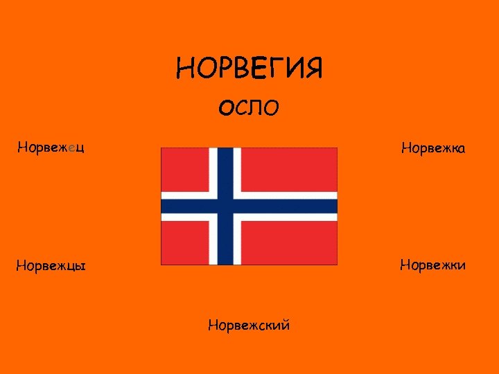 НОРВЕГИЯ ОСЛО Норвежец Норвежка ФЛАГ Норвежки Норвежцы Норвежский 