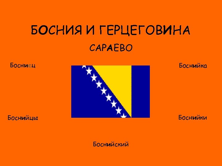 БОСНИЯ И ГЕРЦЕГОВИНА САРАЕВО Босниец Боснийка ФЛАГ Боснийки Боснийцы Боснийский 