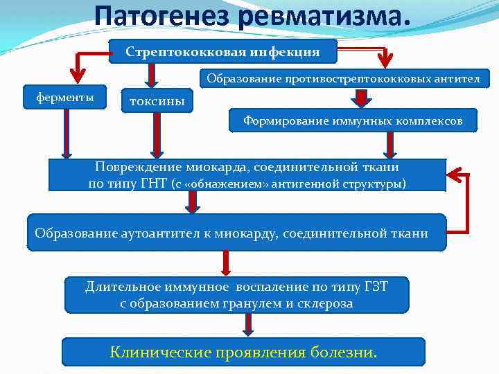 Патогенез ревматизма. Стрептококковая инфекция Образование противострептококковых антител ферменты токсины Формирование иммунных комплексов Повреждение миокарда,