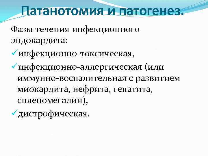 Патанотомия и патогенез. Фазы течения инфекционного эндокардита: üинфекционно-токсическая, üинфекционно-аллергическая (или иммунно-воспалительная с развитием миокардита,