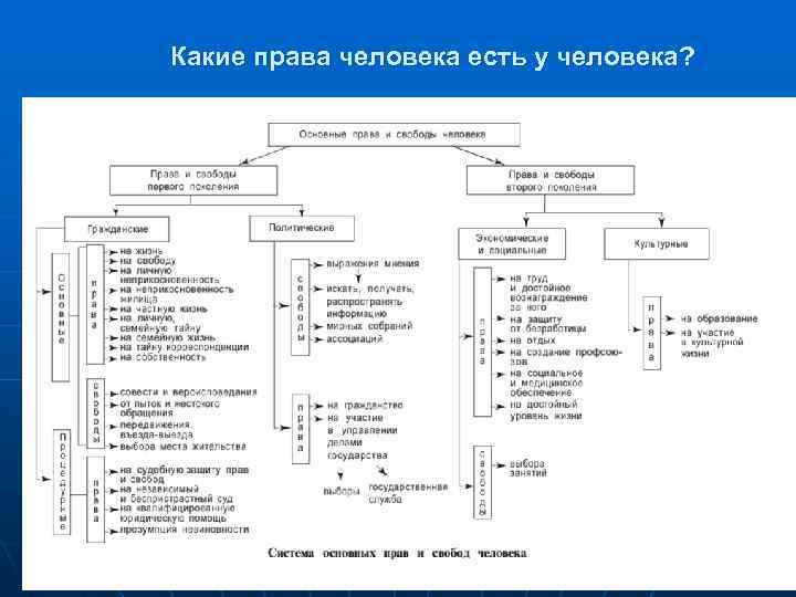 Какие права человека есть у человека? 