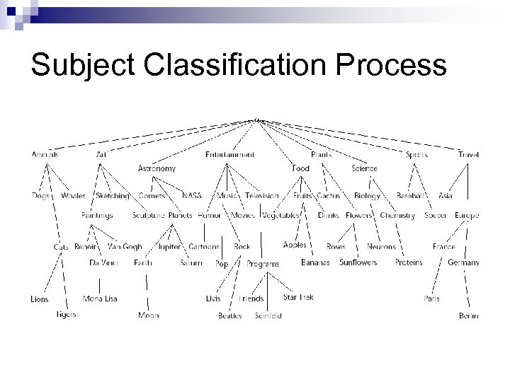 Subject Classification Process 