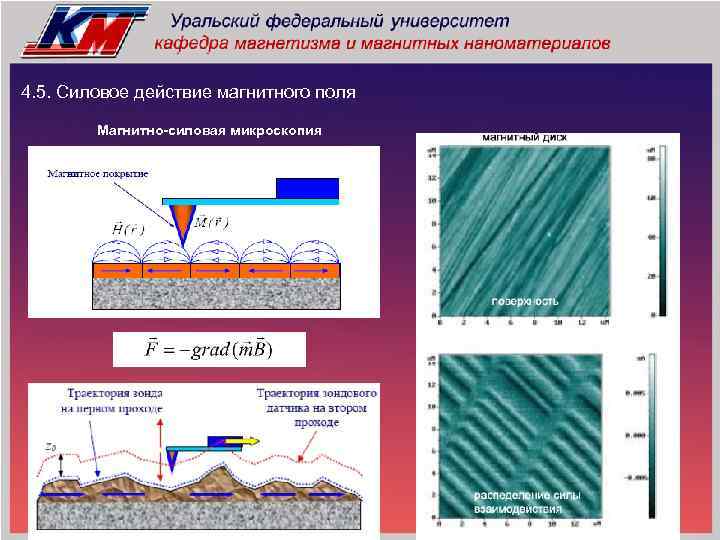 4. 5. Силовое действие магнитного поля Магнитно-силовая микроскопия 