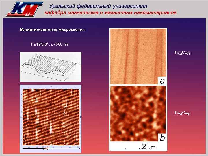Магнитно-силовая микроскопия Fe 19 Ni 81, L=500 nm Tb 22 Co 78 Tb 31