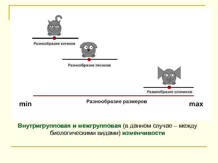 Внутригрупповая и межгрупповая (в данном случае – между биологическими видами) изменчивости 
