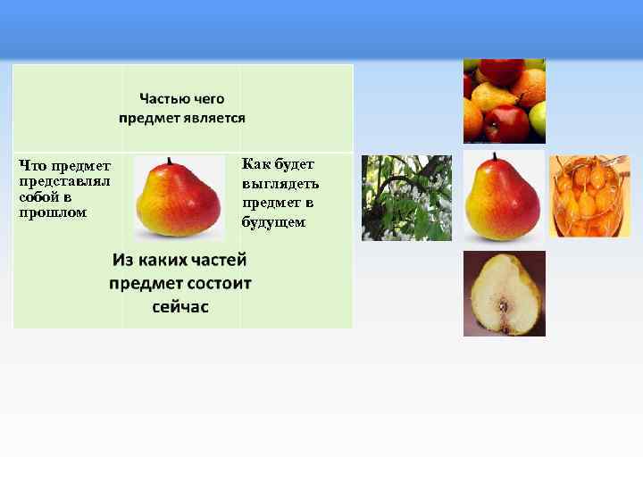 Что предмет представлял собой в прошлом Как будет выглядеть предмет в будущем 
