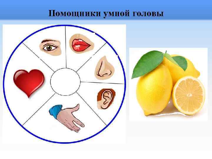 Помощники умной головы 