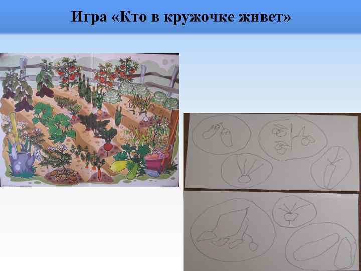 Игра «Кто в кружочке живет» 