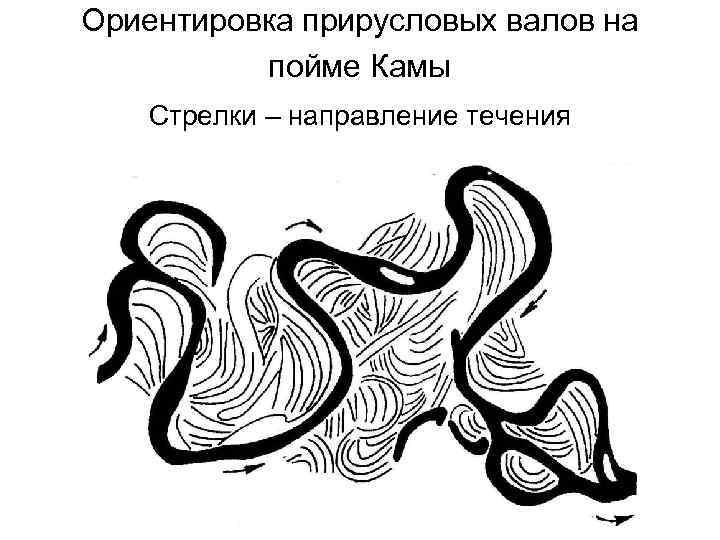Ориентировка прирусловых валов на пойме Камы Стрелки – направление течения 