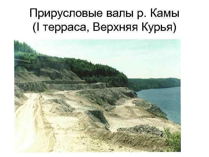Прирусловые валы р. Камы (I терраса, Верхняя Курья) 