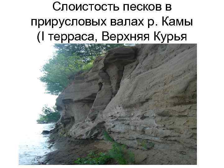 Слоистость песков в прирусловых валах р. Камы (I терраса, Верхняя Курья 