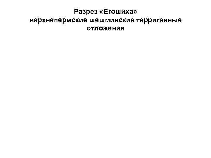 Разрез «Егошиха» верхнепермские шешминские терригенные отложения 