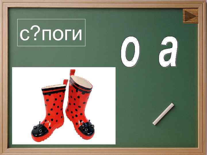 с? поги 