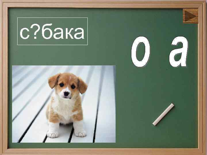 с? бака 