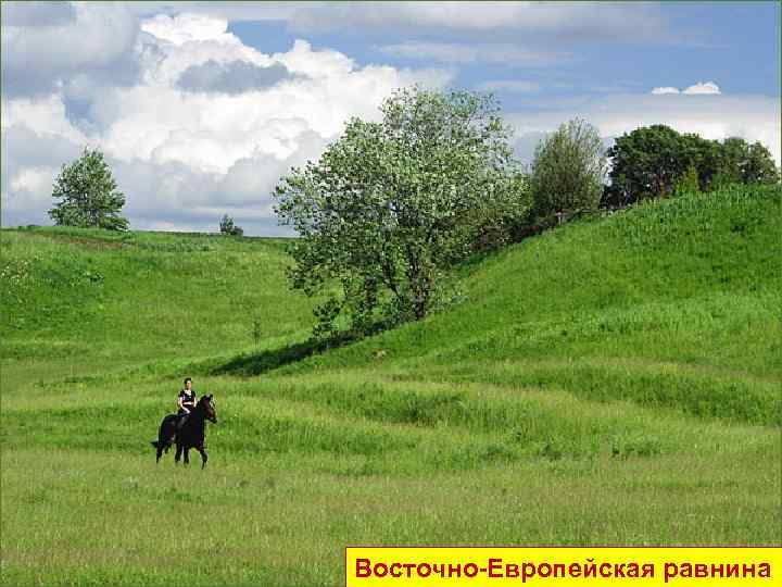 Восточно-Европейская равнина 