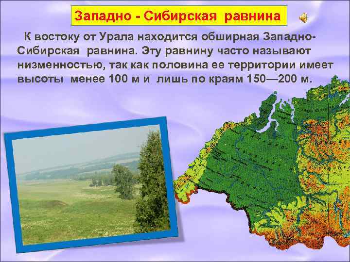 Западно - Сибирская равнина К востоку от Урала находится обширная Западно. Сибирская равнина. Эту