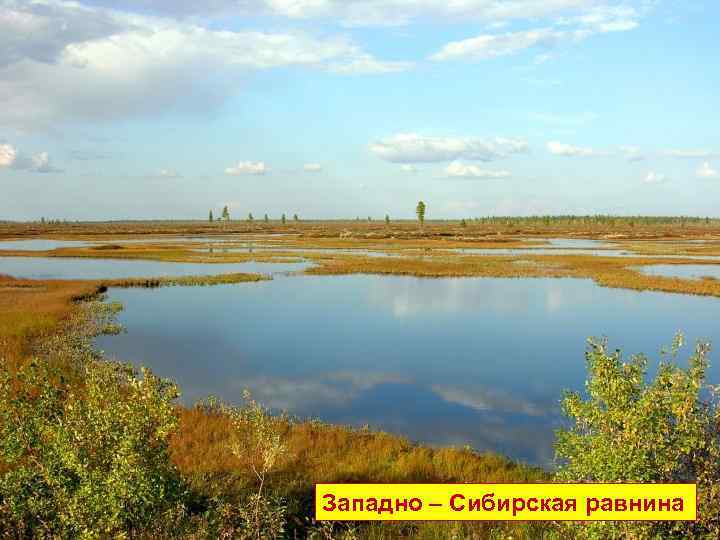 Западно – Сибирская равнина 