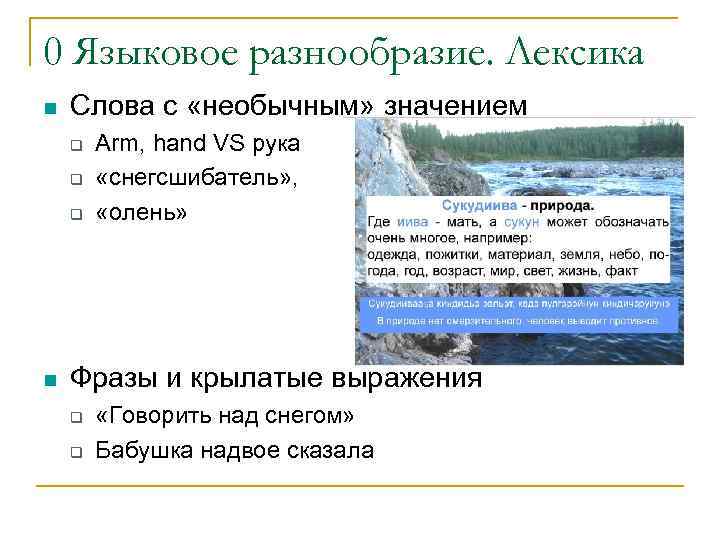 0 Языковое разнообразие. Лексика Слова с «необычным» значением Arm, hand VS рука «снегсшибатель» ,